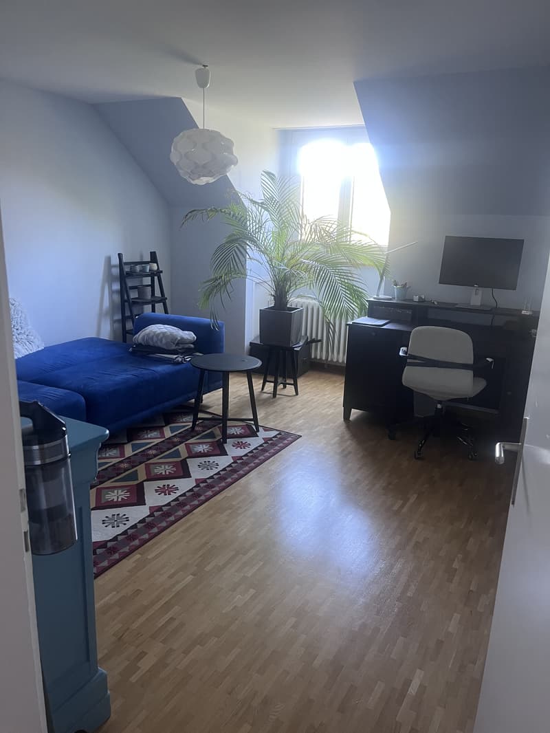 3½ ZI-WOHNUNG IN BERN - SONNENHOF, MÖBLIERT, TEMPORÄR (9)