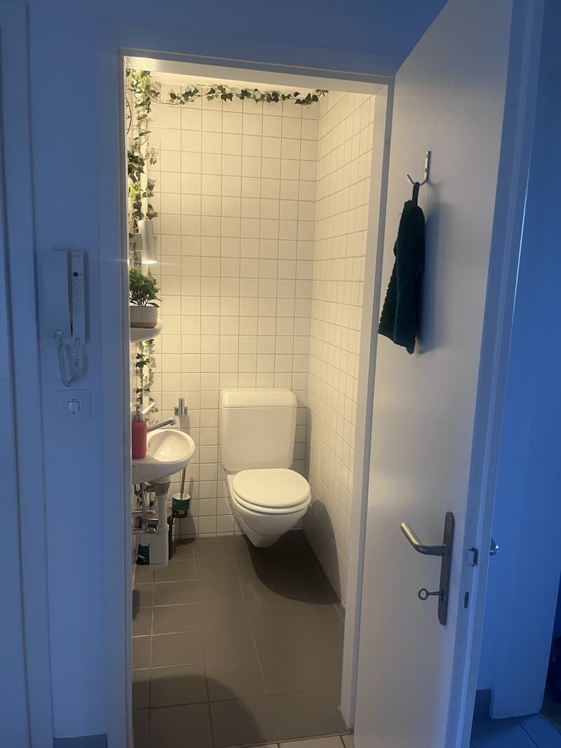 3½ ZI-WOHNUNG IN BERN - SONNENHOF, MÖBLIERT, TEMPORÄR (7)