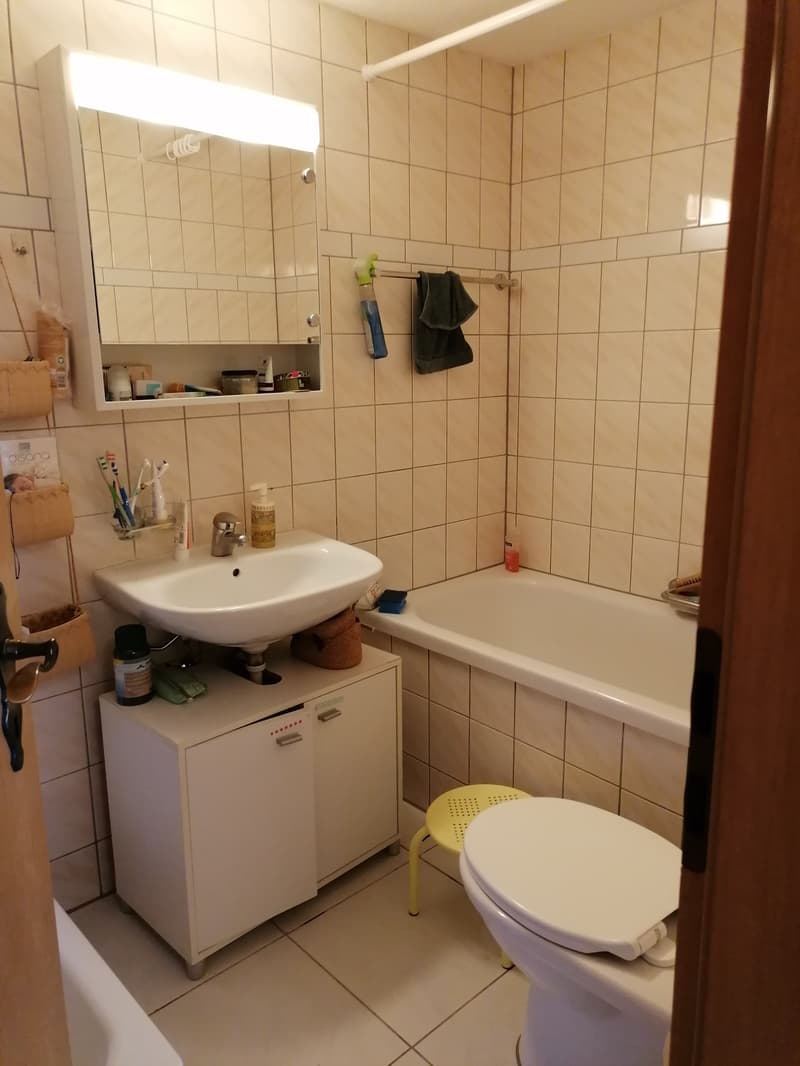 4½ ZI-WOHNUNG IN BERN - BERN-FELSENAU, MÖBLIERT, TEMPORÄR (9)