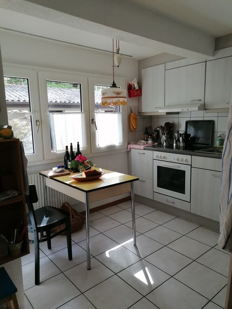 4½ ZI-WOHNUNG IN BERN - BERN-FELSENAU, MÖBLIERT, TEMPORÄR (4)