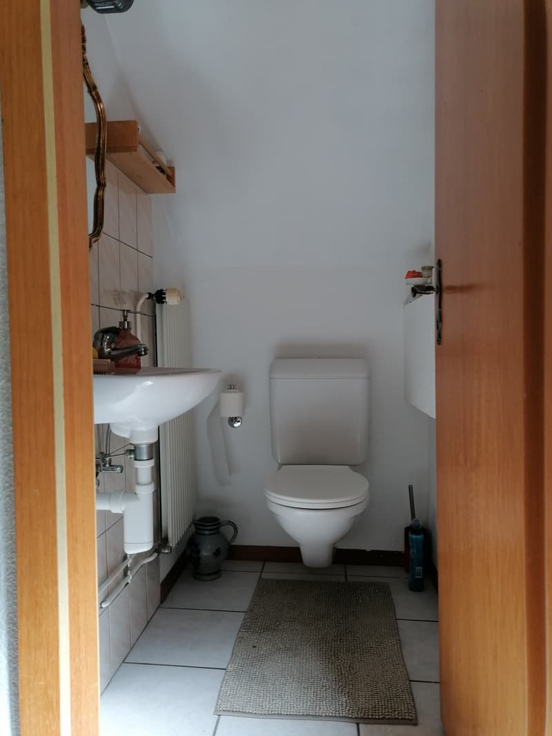4½ ZI-WOHNUNG IN BERN - BERN-FELSENAU, MÖBLIERT, TEMPORÄR (8)