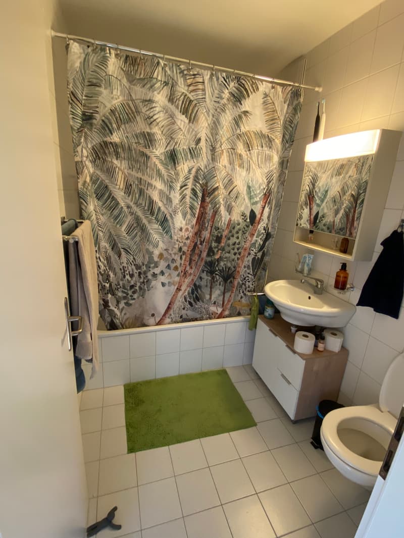 3 ZI-WOHNUNG IN BERN - LÄNGGASSE, MÖBLIERT, TEMPORÄR (5)