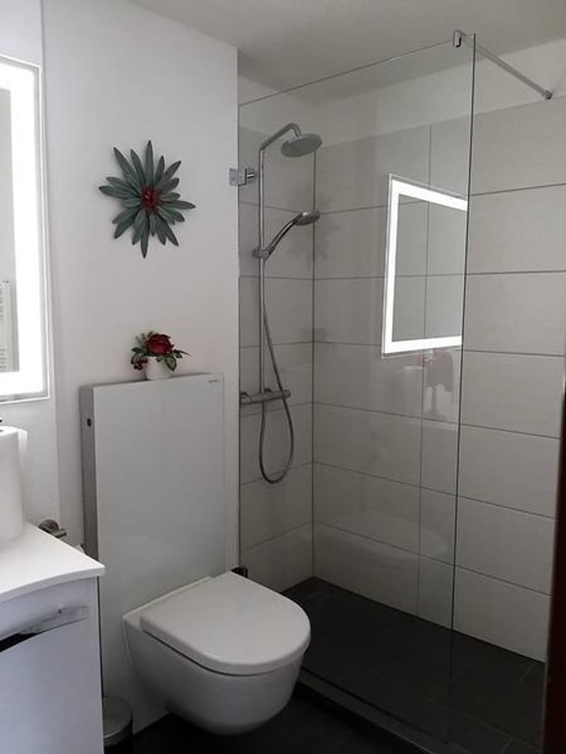 3 ZI-WOHNUNG IN HEILIGENSCHWENDI (BE), MÖBLIERT (7)