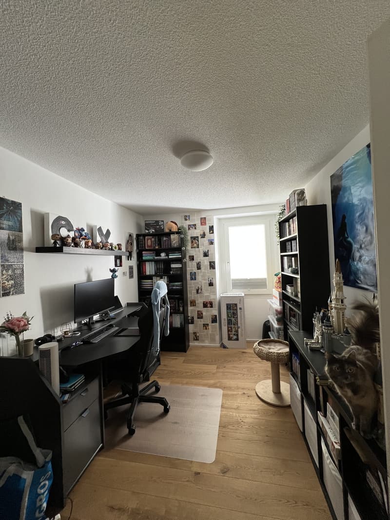 3½ ZI-WOHNUNG IN NATERS (VS), MÖBLIERT, TEMPORÄR (4)