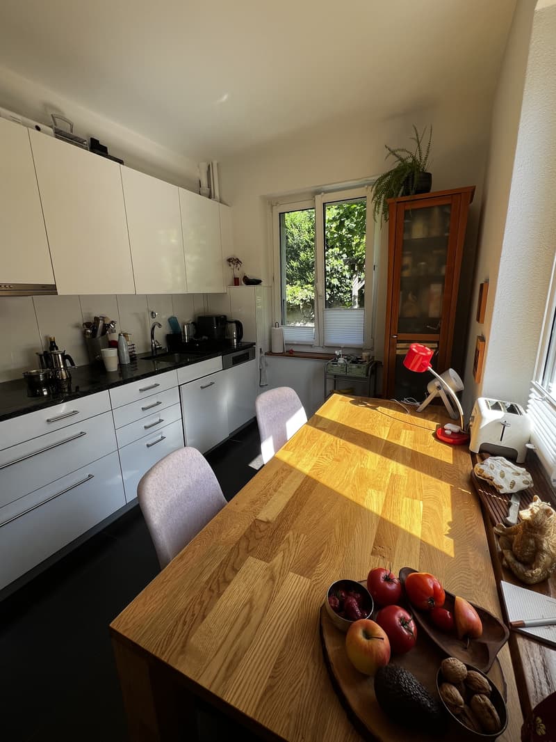 2½ ZI-WOHNUNG IN BERN - ALTENBERG, MÖBLIERT, TEMPORÄR (6)