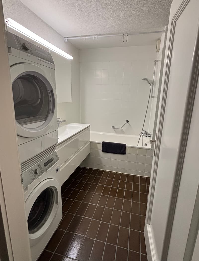 3½ ZI-WOHNUNG IN BERN - MATTE, MÖBLIERT, TEMPORÄR (9)