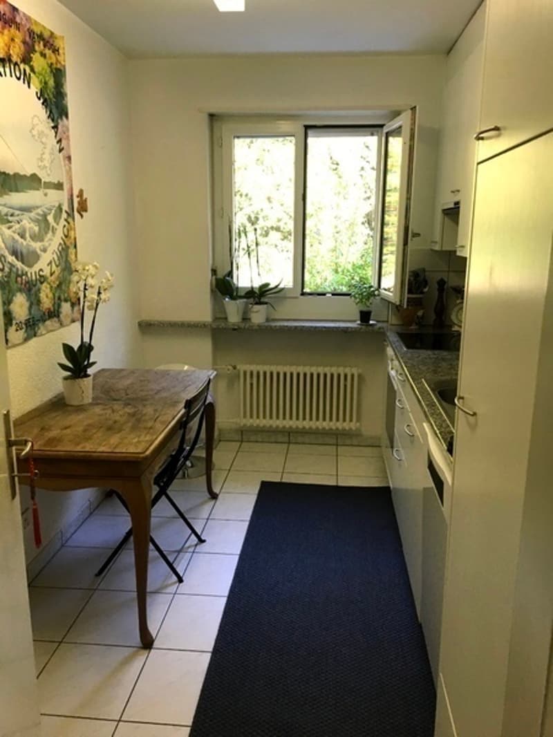 2½ ZI-WOHNUNG IN ZÜRICH - KREIS 11 AFFOLTERN, MÖBLIERT, TEMPORÄR (4)
