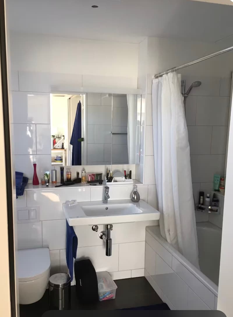 3½ ZI-WOHNUNG IN ZÜRICH, MÖBLIERT, TEMPORÄR (6)