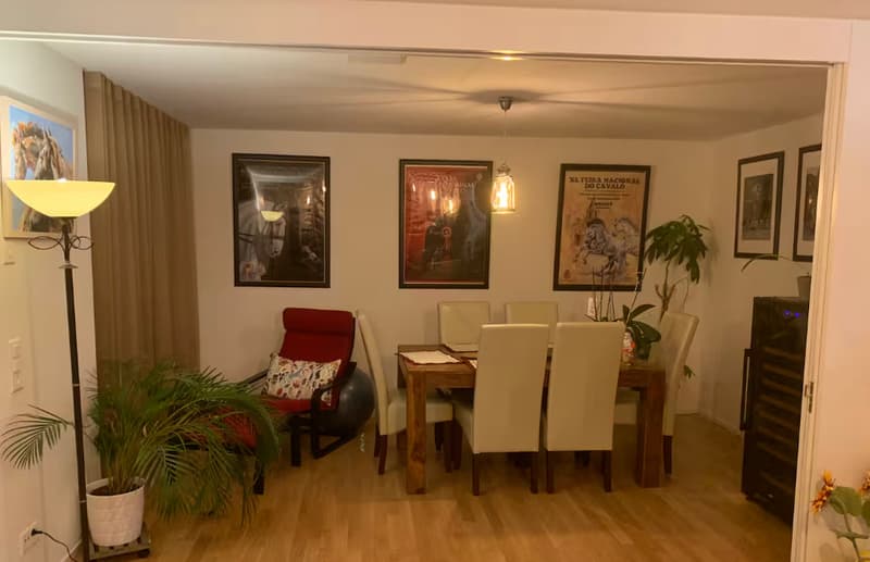 3½ ZI-WOHNUNG IN ZÜRICH, MÖBLIERT, TEMPORÄR (2)