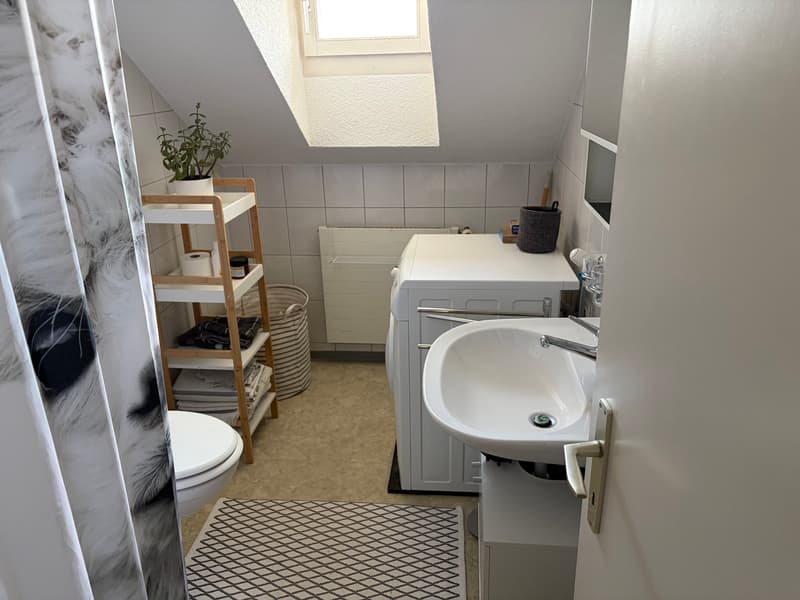3 ZI-WOHNUNG IN ST. GALLEN, MÖBLIERT, TEMPORÄR (5)