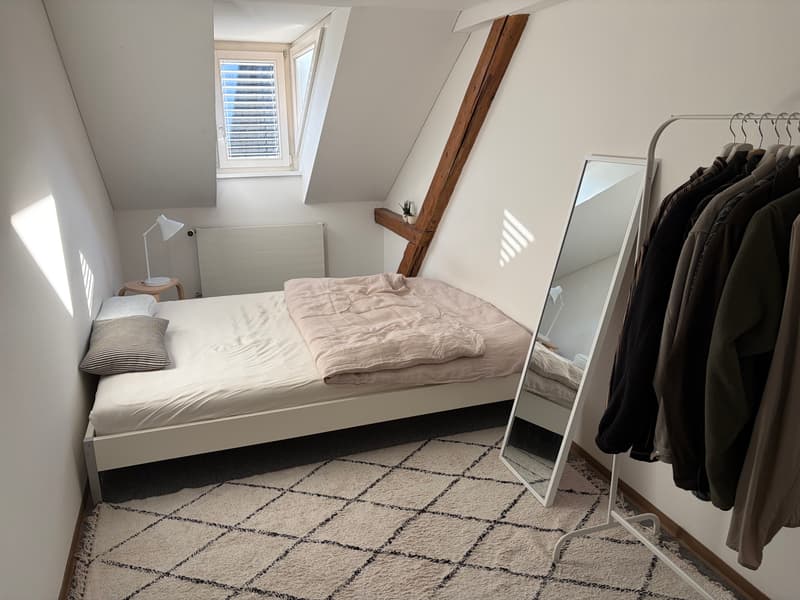 3 ZI-WOHNUNG IN ST. GALLEN, MÖBLIERT, TEMPORÄR (6)
