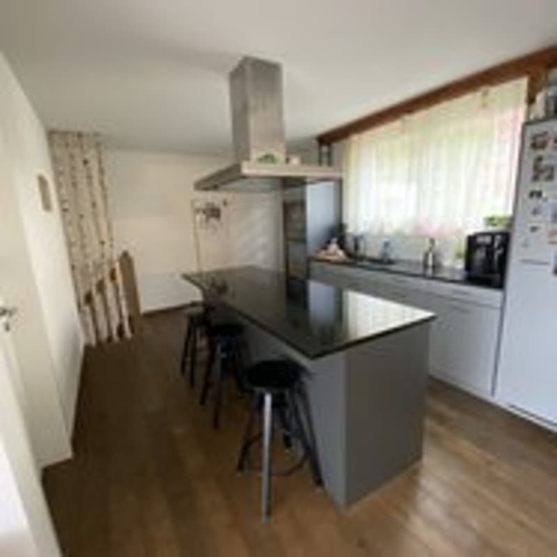 4½ ZI-WOHNUNG IN ZÜRICH - KREIS 10 WIPKINGEN, MÖBLIERT, TEMPORÄR (4)