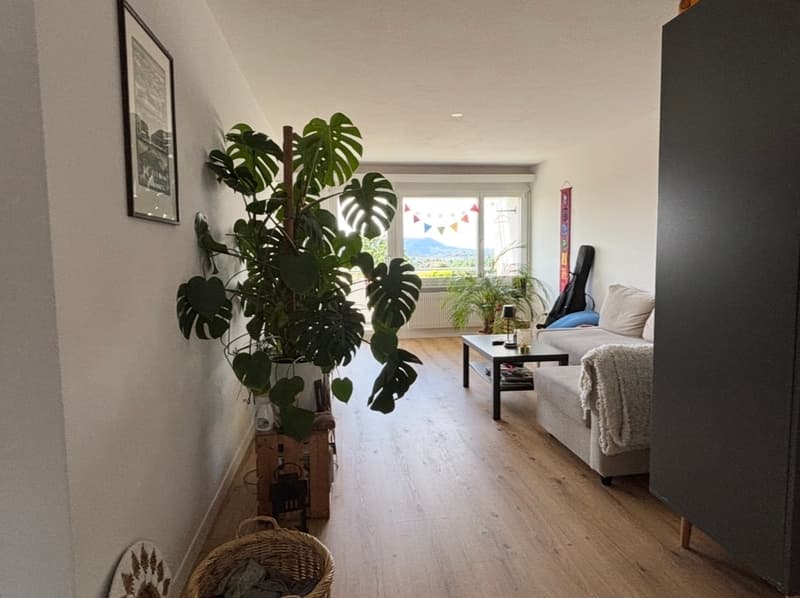 3½ ZI-WOHNUNG IN BOLLIGEN (BE), MÖBLIERT, TEMPORÄR (1)