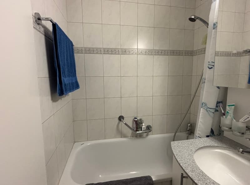 3½ ZI-WOHNUNG IN BOLLIGEN (BE), MÖBLIERT, TEMPORÄR (9)