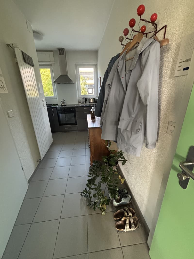 2 ZI-WOHNUNG IN ZÜRICH - KREIS 10, MÖBLIERT, TEMPORÄR (4)