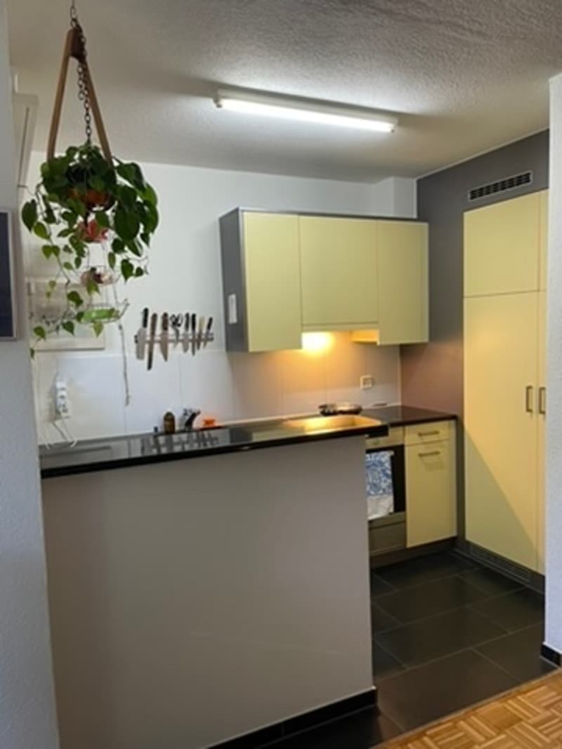 1 ZI-WOHNUNG IN ZÜRICH - KREIS 11 SEEBACH, MÖBLIERT, TEMPORÄR (5)
