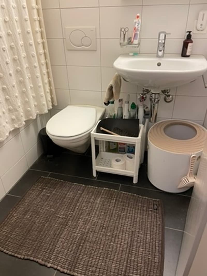1 ZI-WOHNUNG IN ZÜRICH - KREIS 11 SEEBACH, MÖBLIERT, TEMPORÄR (6)