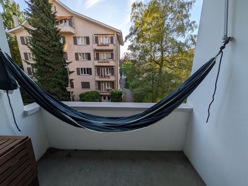 2 ZI-WOHNUNG IN BERN - WEISSENBÜHL, MÖBLIERT, TEMPORÄR (7)
