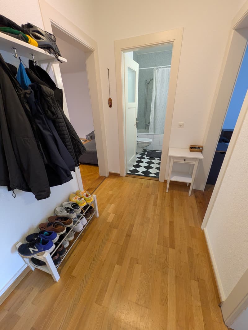 2 ZI-WOHNUNG IN BERN - WEISSENBÜHL, MÖBLIERT, TEMPORÄR (5)