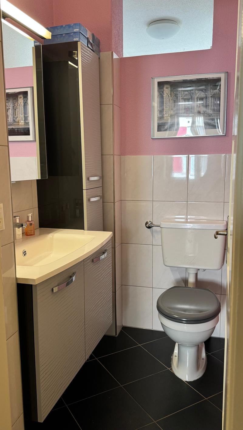 2 ZI-WOHNUNG IN ZÜRICH - KREIS 3 WIEDIKON, MÖBLIERT, TEMPORÄR (6)