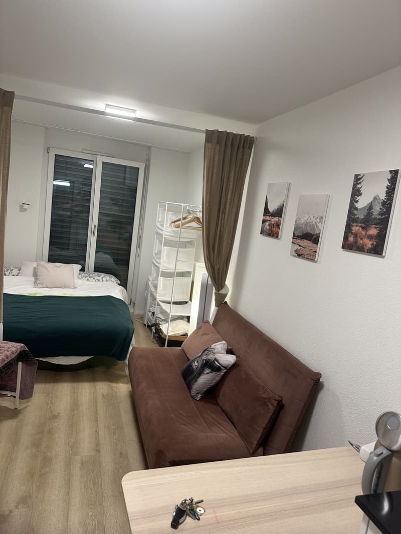 STUDIO IN ZÜRICH - KREIS 1, MÖBLIERT (1)