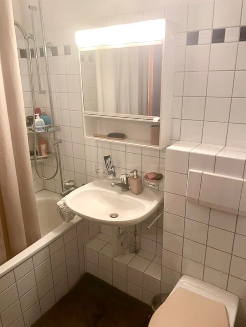 1 ZI-WOHNUNG IN ST. GALLEN, MÖBLIERT, TEMPORÄR (6)