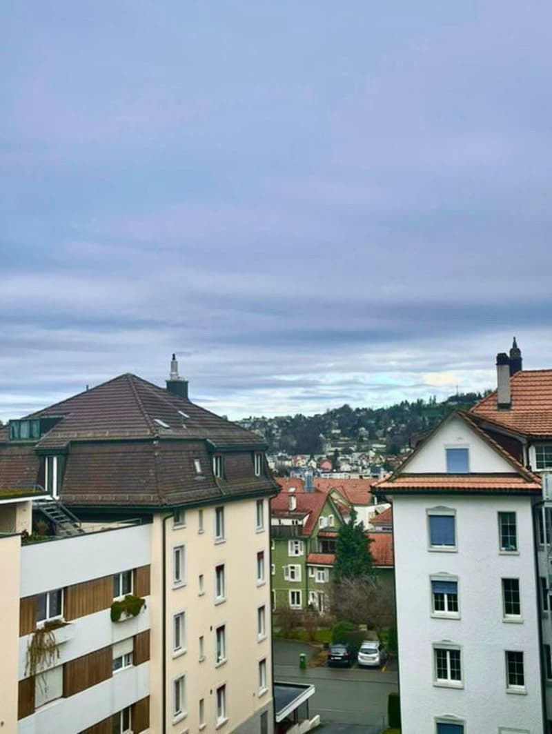 1 ZI-WOHNUNG IN ST. GALLEN, MÖBLIERT, TEMPORÄR (8)
