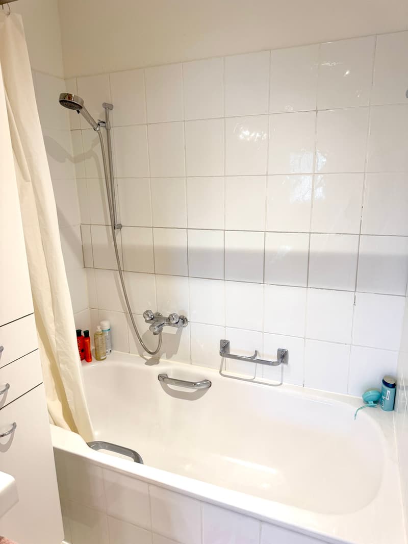 3½ ZI-WOHNUNG IN ZÜRICH - KREIS 8, MÖBLIERT, TEMPORÄR (10)