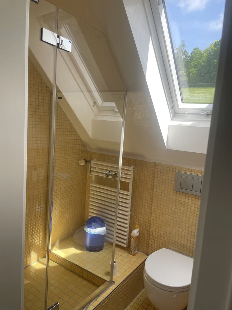 8 ZIMMER-HAUS IN BOLLIGEN (BE), MÖBLIERT, TEMPORÄR (7)