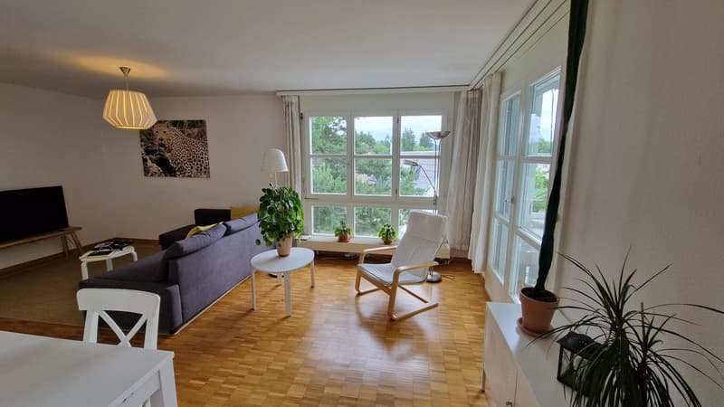 2½ ZI-WOHNUNG IN ZÜRICH - KREIS 10 RÜTIHOF, MÖBLIERT, TEMPORÄR (1)