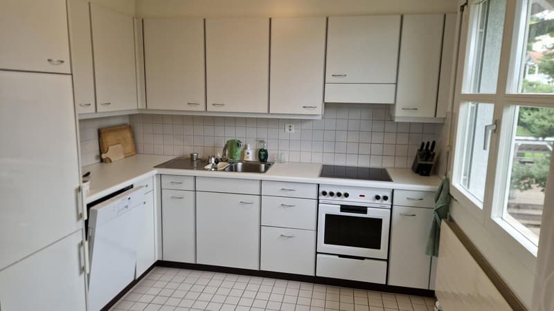 2½ ZI-WOHNUNG IN ZÜRICH - KREIS 10 RÜTIHOF, MÖBLIERT, TEMPORÄR (4)