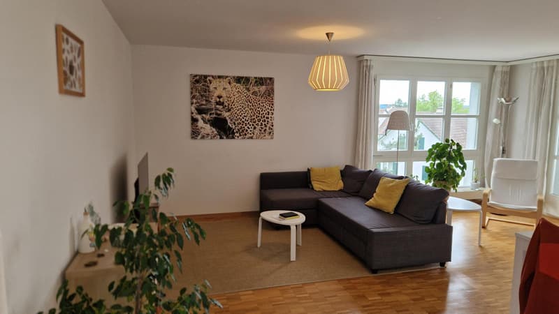 2½ ZI-WOHNUNG IN ZÜRICH - KREIS 10 RÜTIHOF, MÖBLIERT, TEMPORÄR (2)