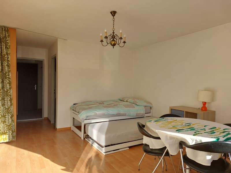 STUDIO IN LEUKERBAD (VS), MÖBLIERT, TEMPORÄR (6)