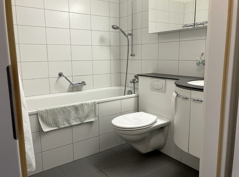 3 ZI-WOHNUNG IN BASEL - ALTSTADT/GROSSBASEL, MÖBLIERT (10)