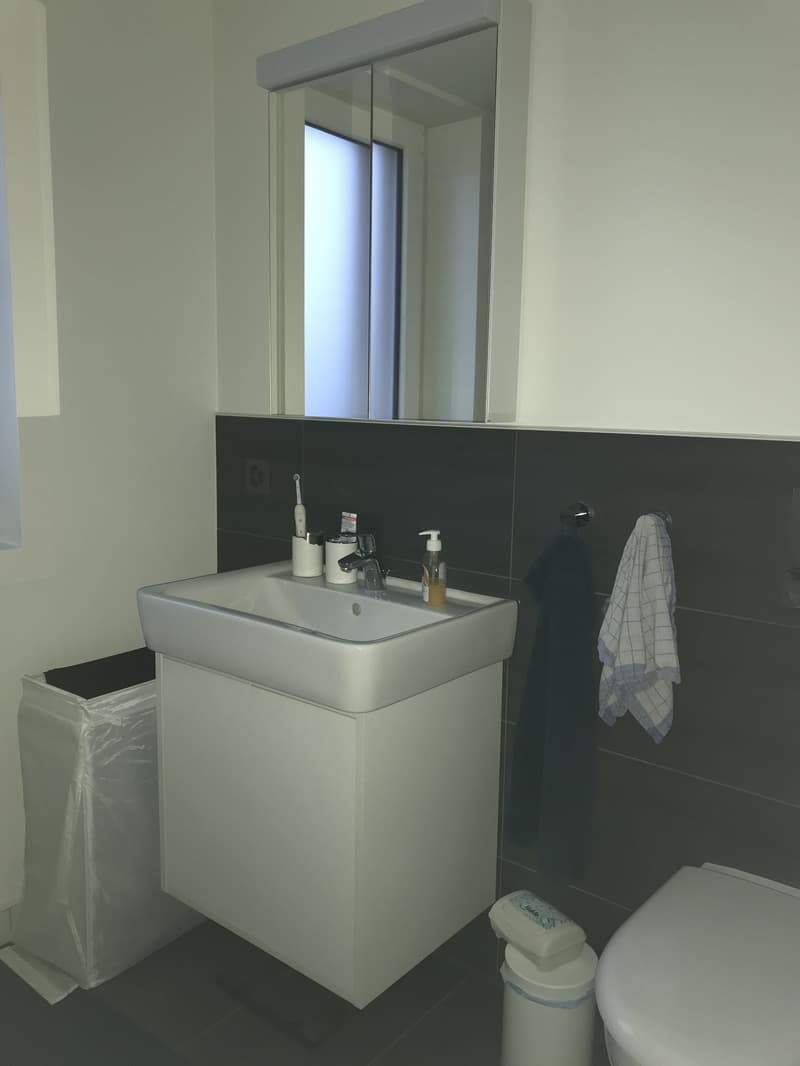 3½ ZIMMER-DACHWOHNUNG IN KERZERS (FR), MÖBLIERT, TEMPORÄR (8)