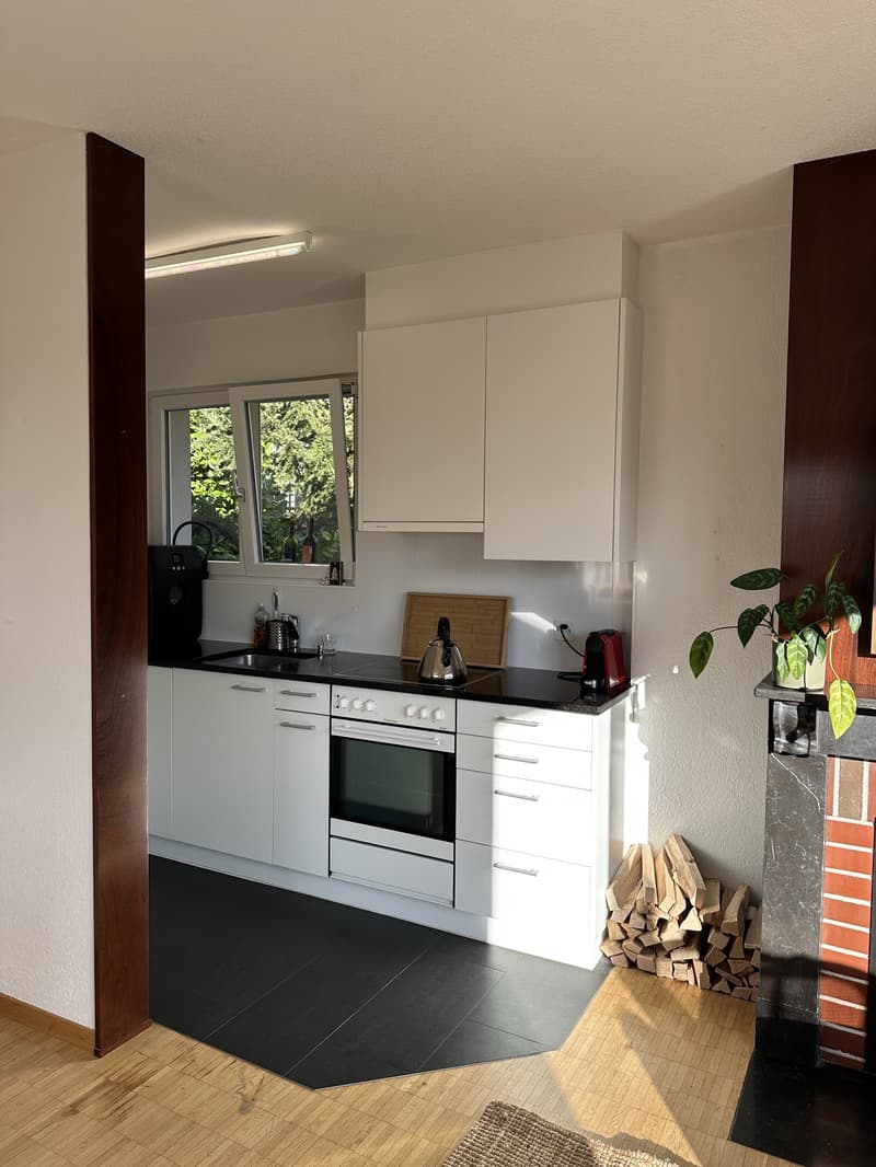 1½ ZI-WOHNUNG IN BERN - KIRCHENFELD, MÖBLIERT, TEMPORÄR (2)