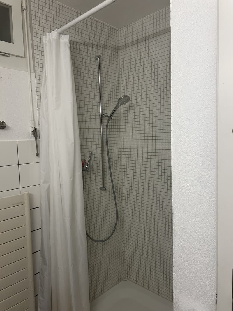 STUDIO IN WABERN (BE), MÖBLIERT, TEMPORÄR (6)