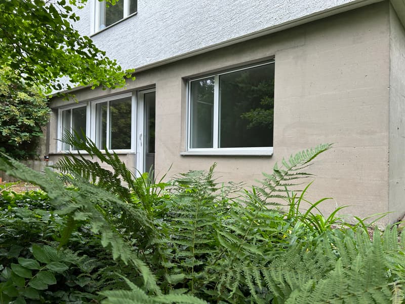STUDIO IN WABERN (BE), MÖBLIERT, TEMPORÄR (1)