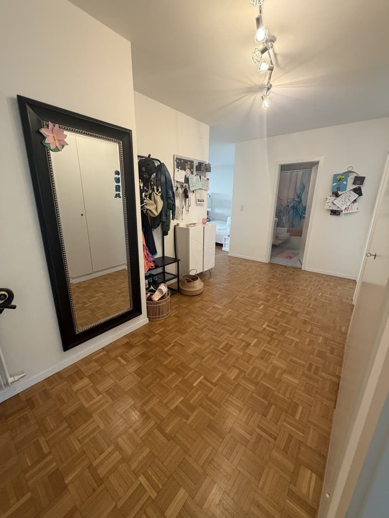 1½ ZI-WOHNUNG IN BERN - LÄNGGASSE, MÖBLIERT, TEMPORÄR (6)