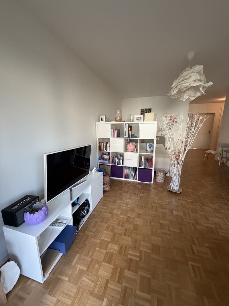 1½ ZI-WOHNUNG IN BERN - LÄNGGASSE, MÖBLIERT, TEMPORÄR (3)