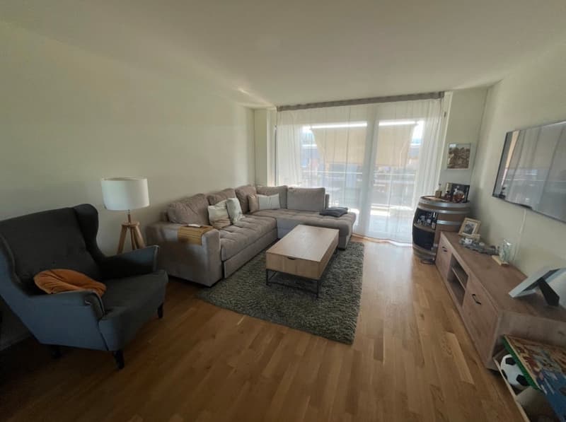 4½ ZI-WOHNUNG IN MÖNCHALTORF (ZH), MÖBLIERT, TEMPORÄR (1)