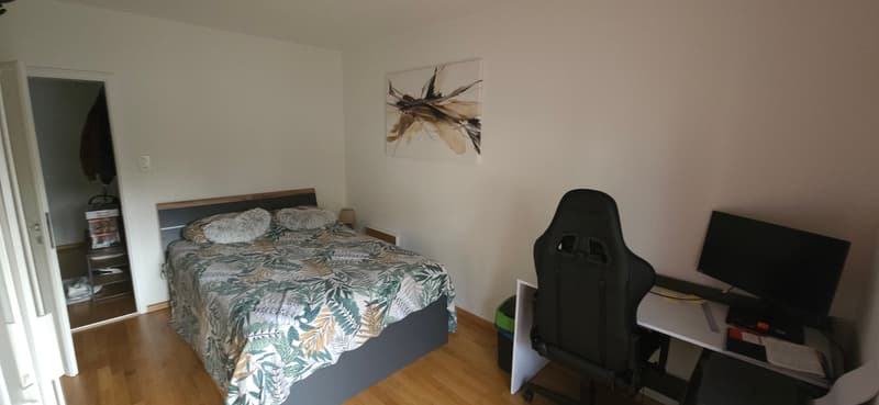 4 ZI-WOHNUNG IN BASEL - GELLERT/ST. ALBAN, MÖBLIERT, TEMPORÄR (5)
