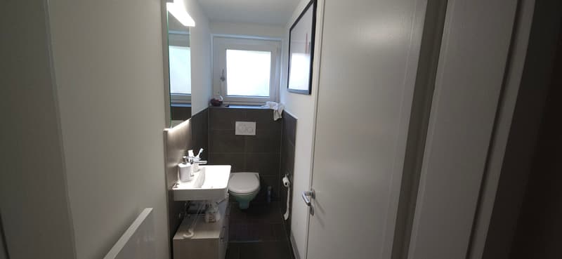4 ZI-WOHNUNG IN BASEL - GELLERT/ST. ALBAN, MÖBLIERT, TEMPORÄR (8)