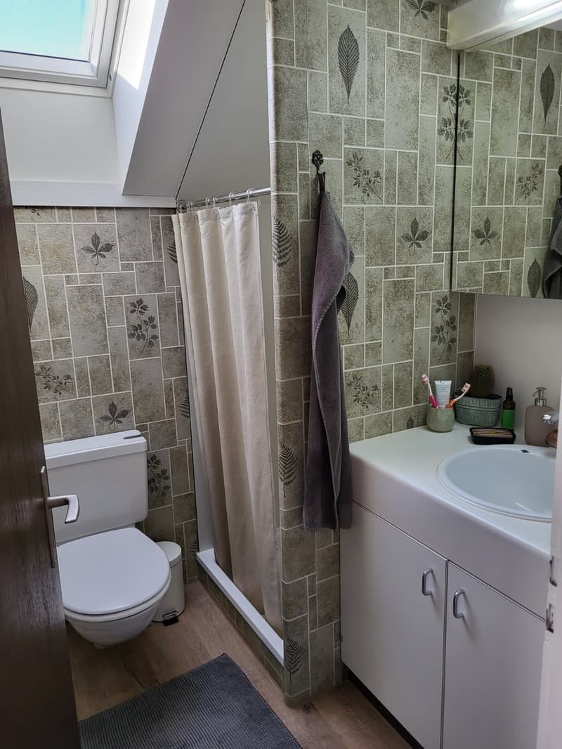 2 ZI-WOHNUNG IN THUN (BE), MÖBLIERT, TEMPORÄR (7)