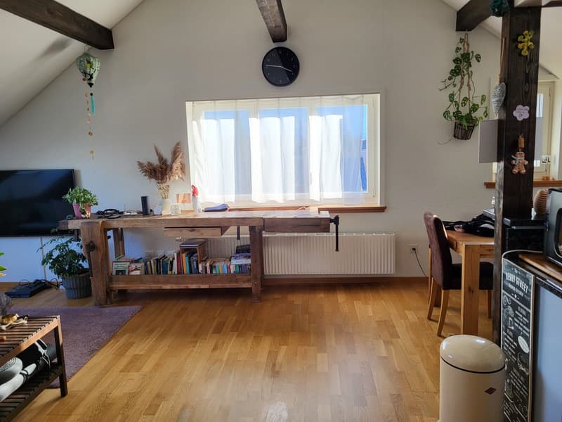 2 ZI-WOHNUNG IN THUN (BE), MÖBLIERT, TEMPORÄR (3)