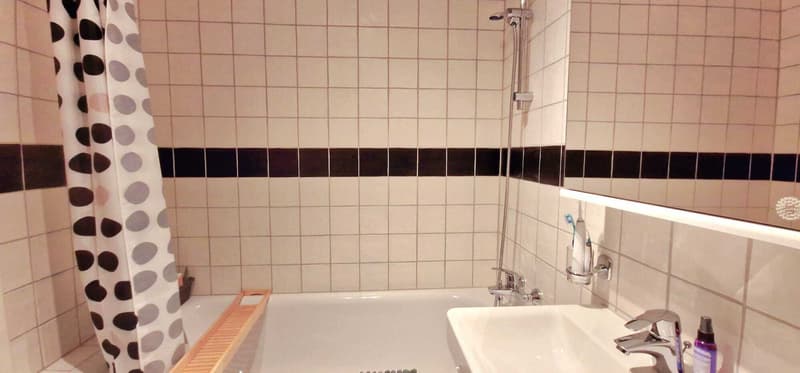 3 ZI-WOHNUNG IN ST. GALLEN - INNENSTADT, MÖBLIERT, TEMPORÄR (8)