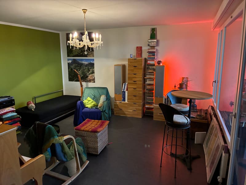 2½ ZI-WOHNUNG IN ZÜRICH - KREIS 4 HARD, MÖBLIERT, TEMPORÄR (5)