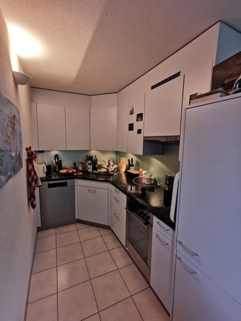 2½ ZI-WOHNUNG IN ZÜRICH - KREIS 10 WIPKINGEN, MÖBLIERT, TEMPORÄR (5)