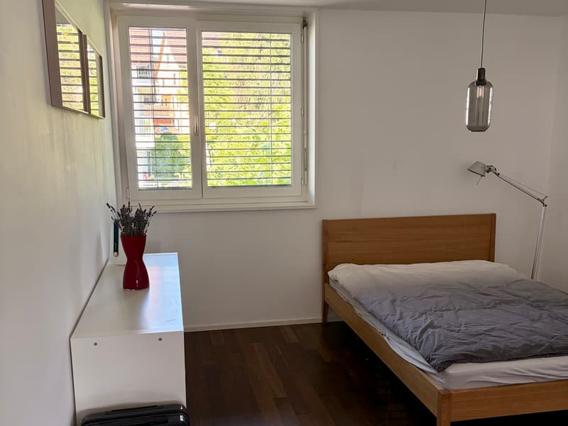 2½ ZI-WOHNUNG IN MÄNNEDORF (ZH), MÖBLIERT, TEMPORÄR (7)