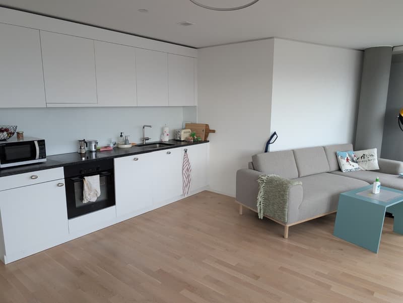 3½ ZI-WOHNUNG IN OSTERMUNDIGEN (BE), MÖBLIERT, TEMPORÄR (2)